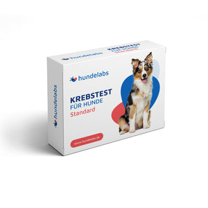 Großer Gesundheitstest für Hunde inkl. Krebsfrüherkennung