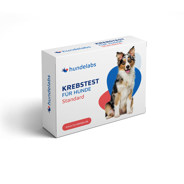 Großer Gesundheitstest für Hunde inkl. Krebsfrüherkennung