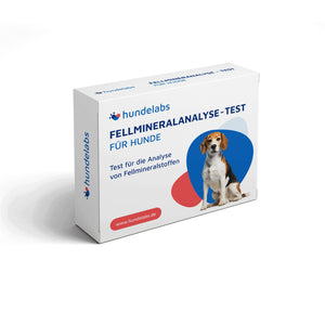 Fellmineralanalyse Test - 30 Nährstoffe + Ernährungsberatung