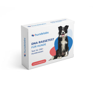 DNA Rassetest für Hunde - 350+ Hunderassen inkl. MDR1-Gentest
