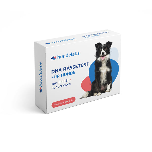 DNA Rassetest für Hunde - 350+ Hunderassen inkl. MDR1-Gentest