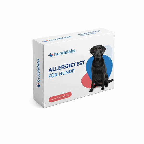 Hunde-Allergietest – 125 Allergene - Immunbedingte Reaktionen bei Hunden erkennen