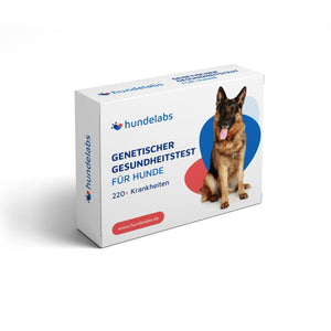 Genetischer Gesundheitstest für Hunde - 220+ Krankheiten