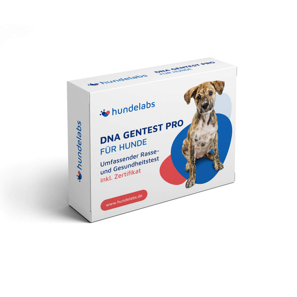 DNA Gentest Pro für Hunde - Umfassender Gesundheits- und Rassetest – 400+ Rassen, 150+ Krankheiten & 25 physische Merkmale